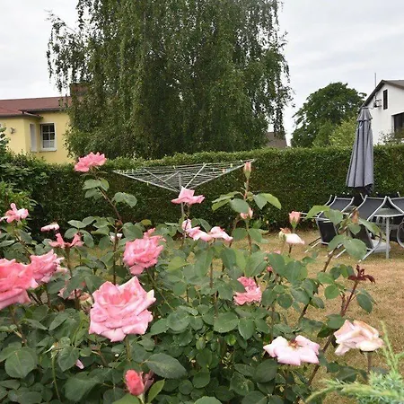 G2 Fewos Und Gesundheit Ostseebad