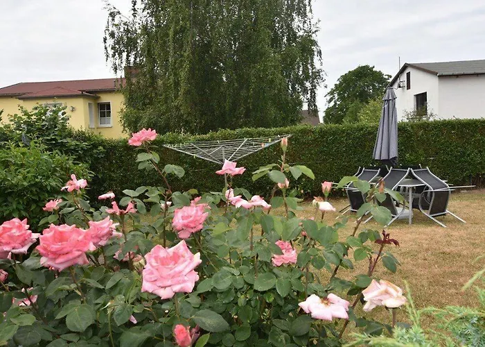 G2 Fewos Und Gesundheit Ostseebad